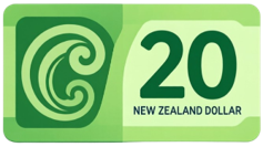 $20 note